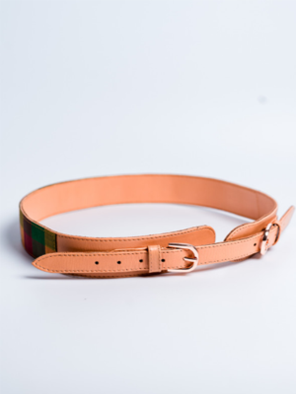 Aikyatha Multi Colour Kanjivaram Saree Belt