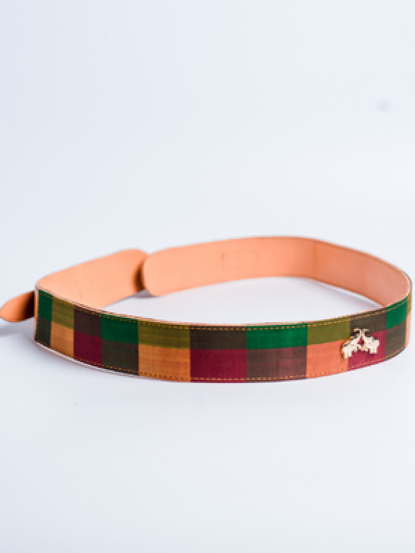 Aikyatha Multi Colour Kanjivaram Saree Belt
