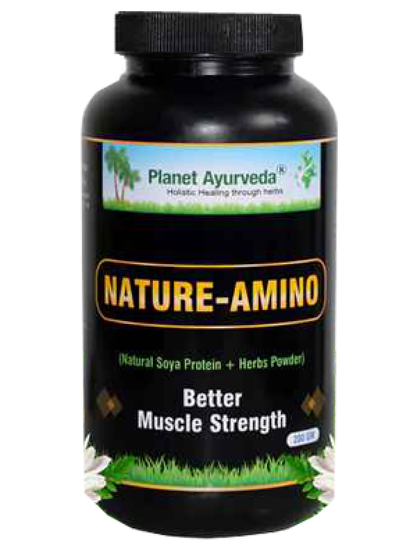 Planet Ayurveda Natur-Amino Powder