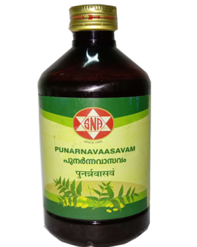 SNA Punarnavaasavam