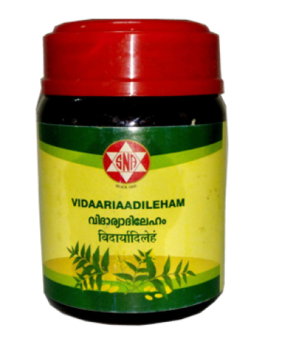 SNA Vidariaadi Leham