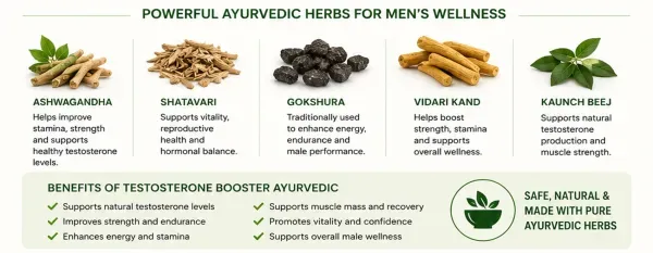 Testosterone Booster Ayurvedic: Natural Herbs That Support Men's Vitality and Wellness