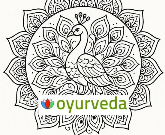 Are Ayurvedic products from India allowed in Italy?
