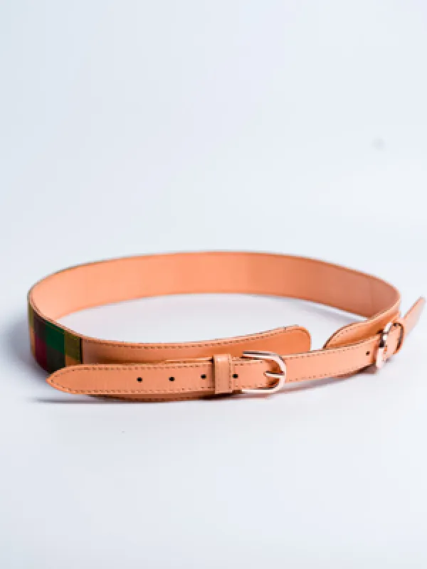 Aikyatha Multi Colour Kanjivaram Saree Belt