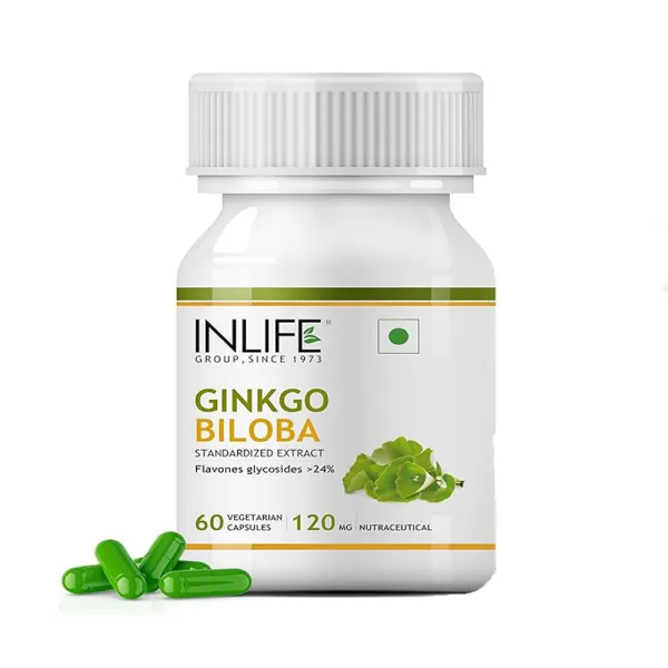 Inlife Ginkgo Biloba Extract Capsules 120mg | Herbal Supplement | 60 Vegetarian Capsules (Pack of 1, 60)