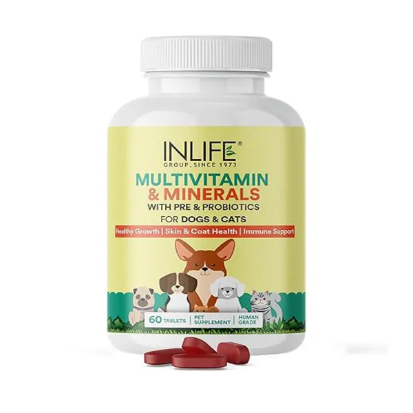 Inlife  Multivitamin for Dog Cat & Pets | Ginseng, Prebiotic & Probiotic Vitamin B12, C, D, E, Zinc & Biotin Supplement
