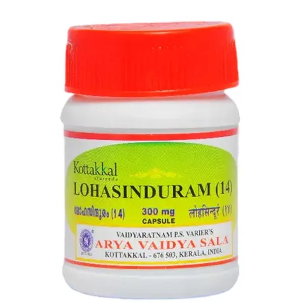 Kottakkal Lohasinduram (41)