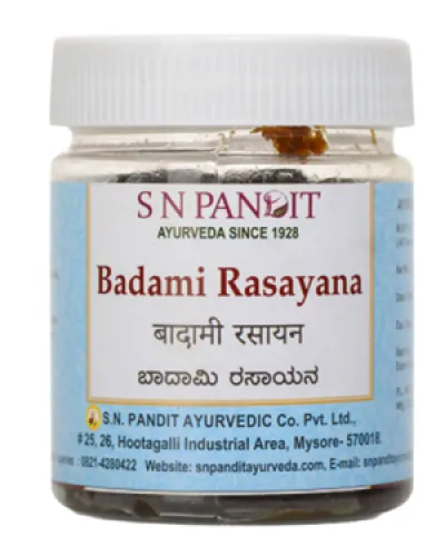 S N Pandit Badami Rasayana